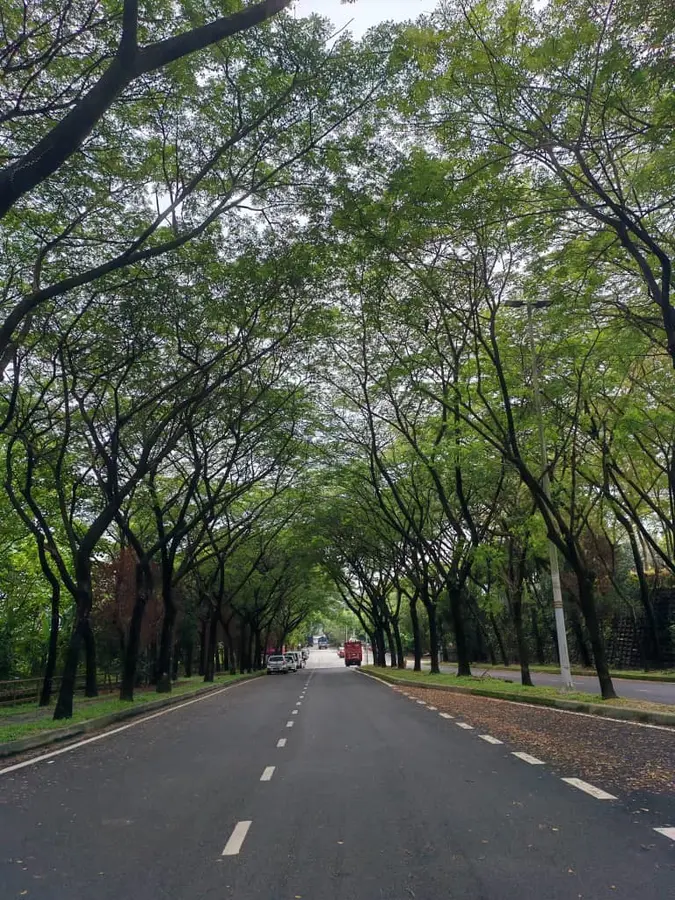 Petaling Jaya, Selangor 16