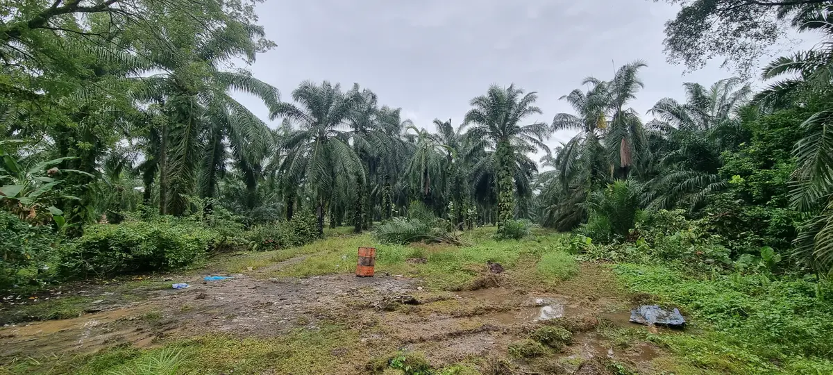 Industrial Land @ Bukit Kemuning Shah Alam For Sale 