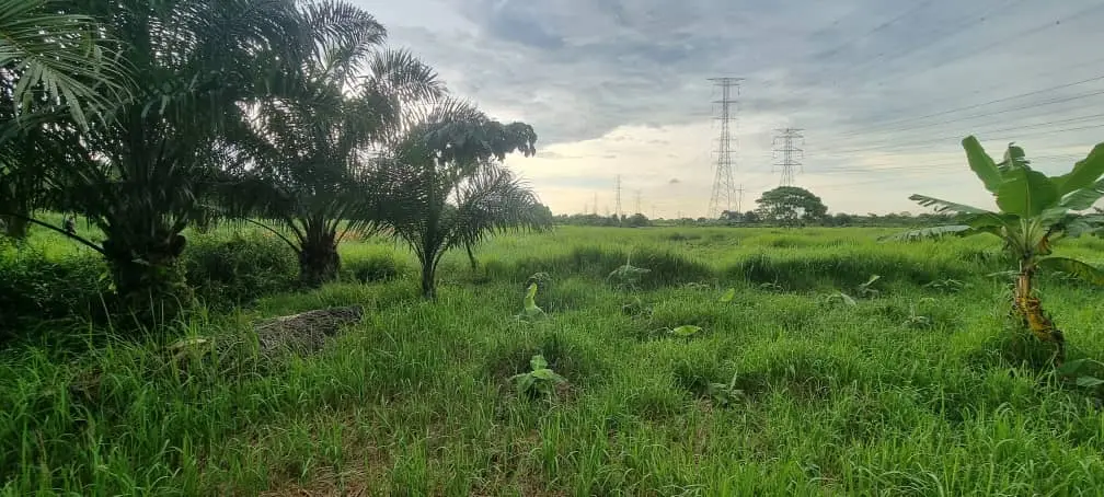 Shah Alam, Selangor 5