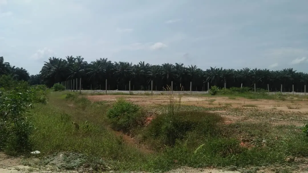 Subang Jaya, Selangor 5
