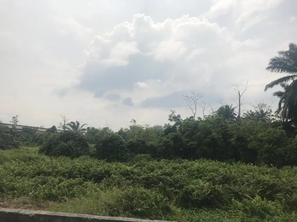 Shah Alam, Selangor 2