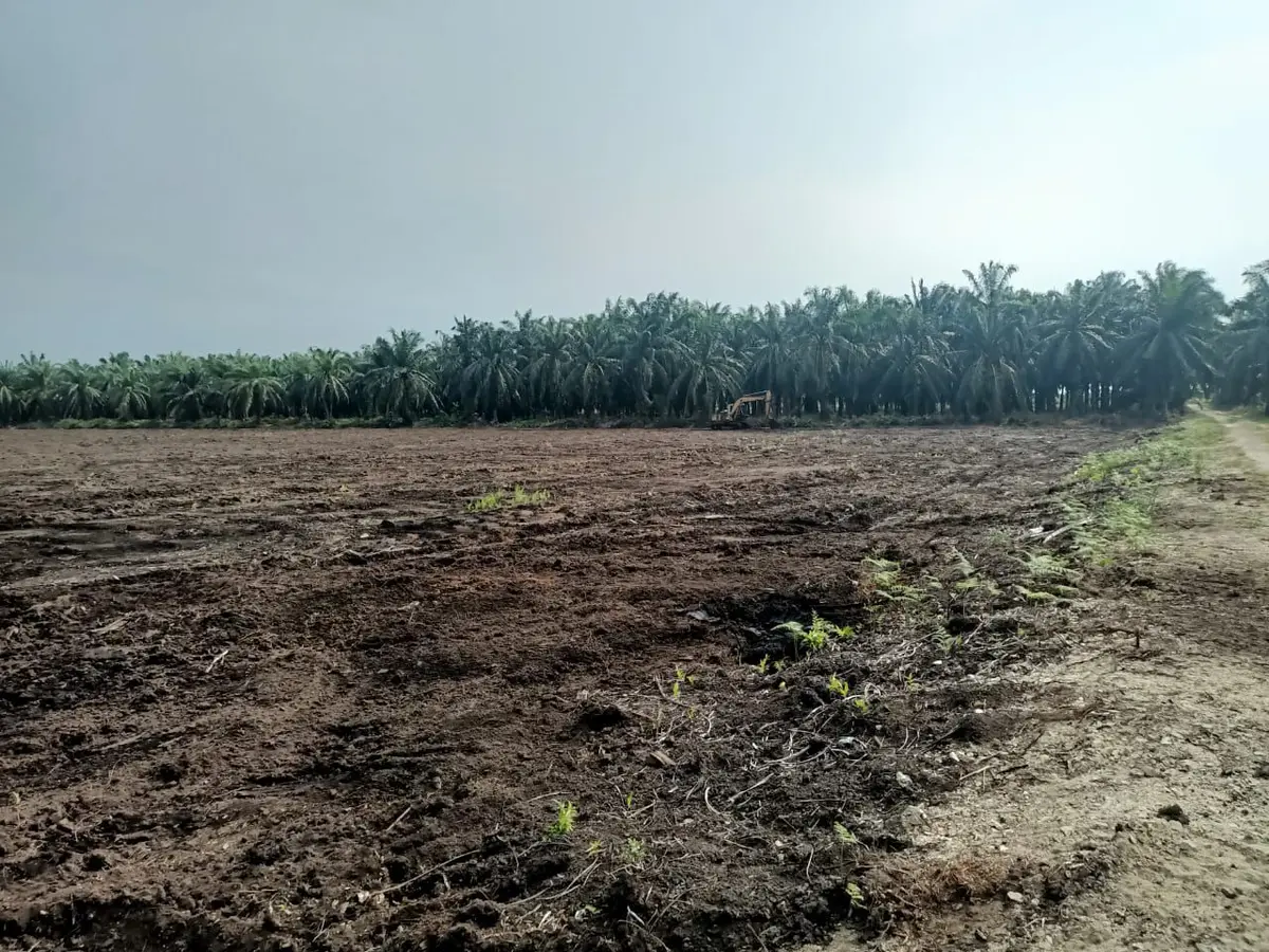 Telok Panglima Garang, Selangor 2