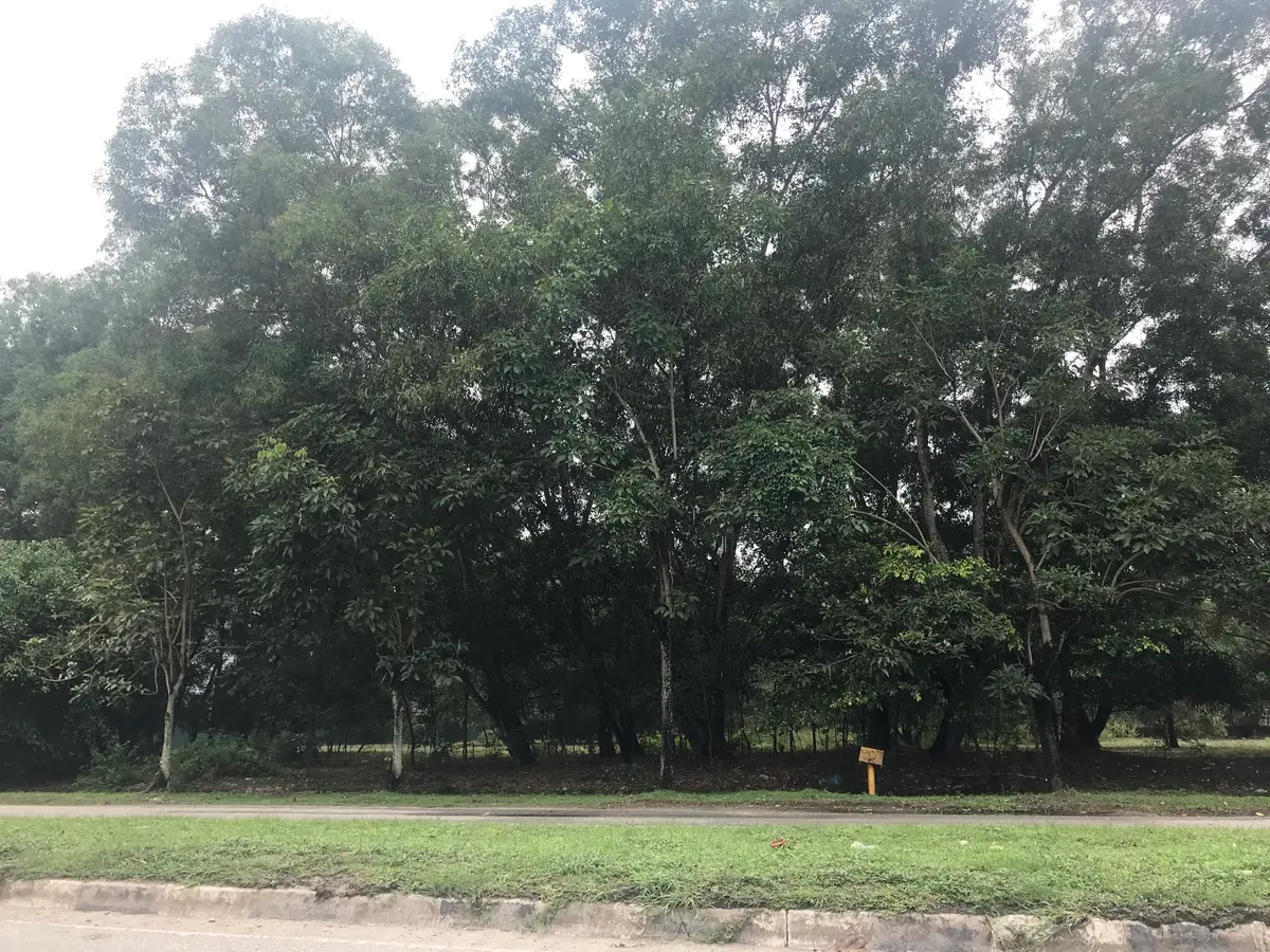 Rawang, Selangor 4