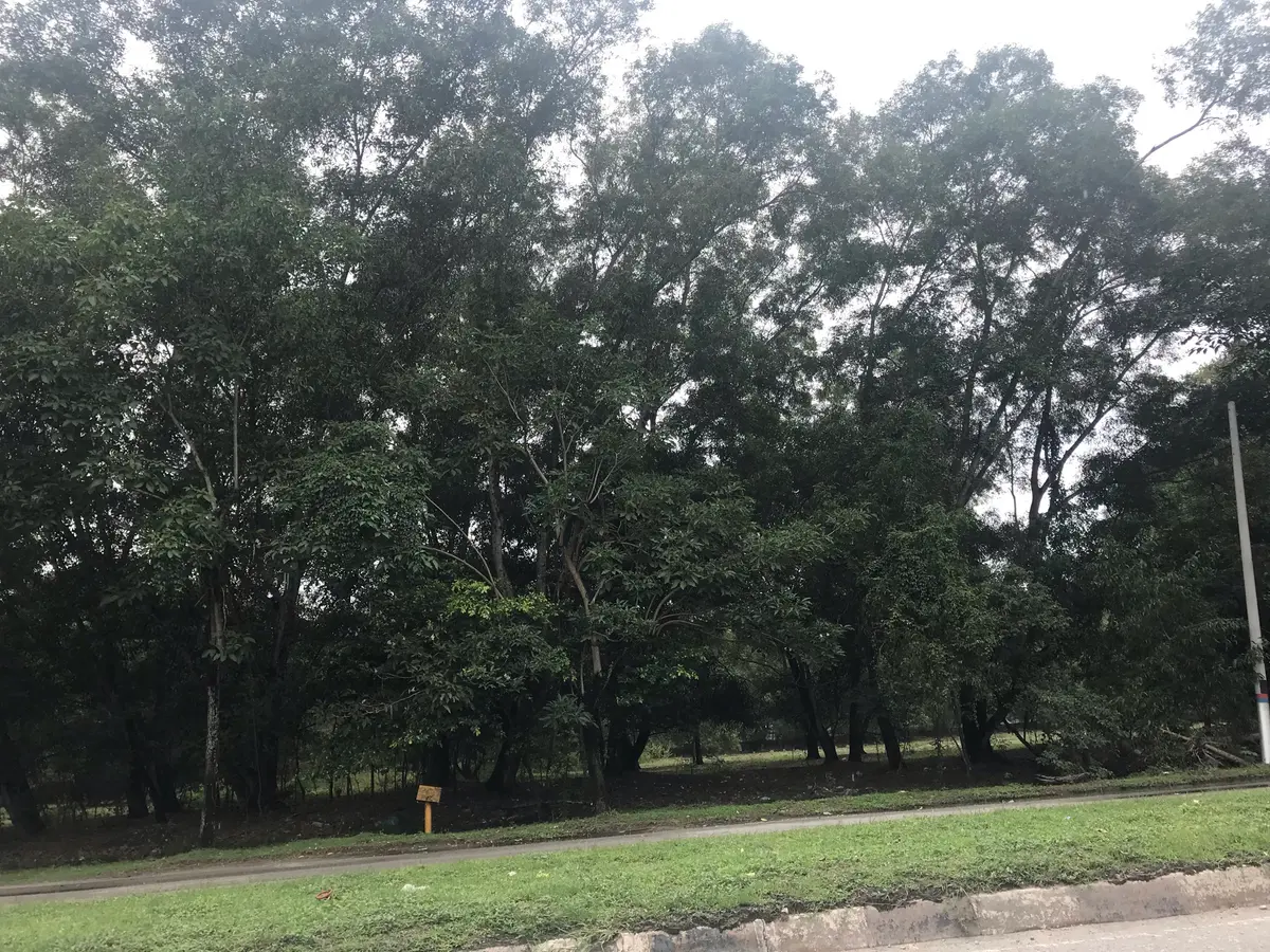 Rawang, Selangor 5