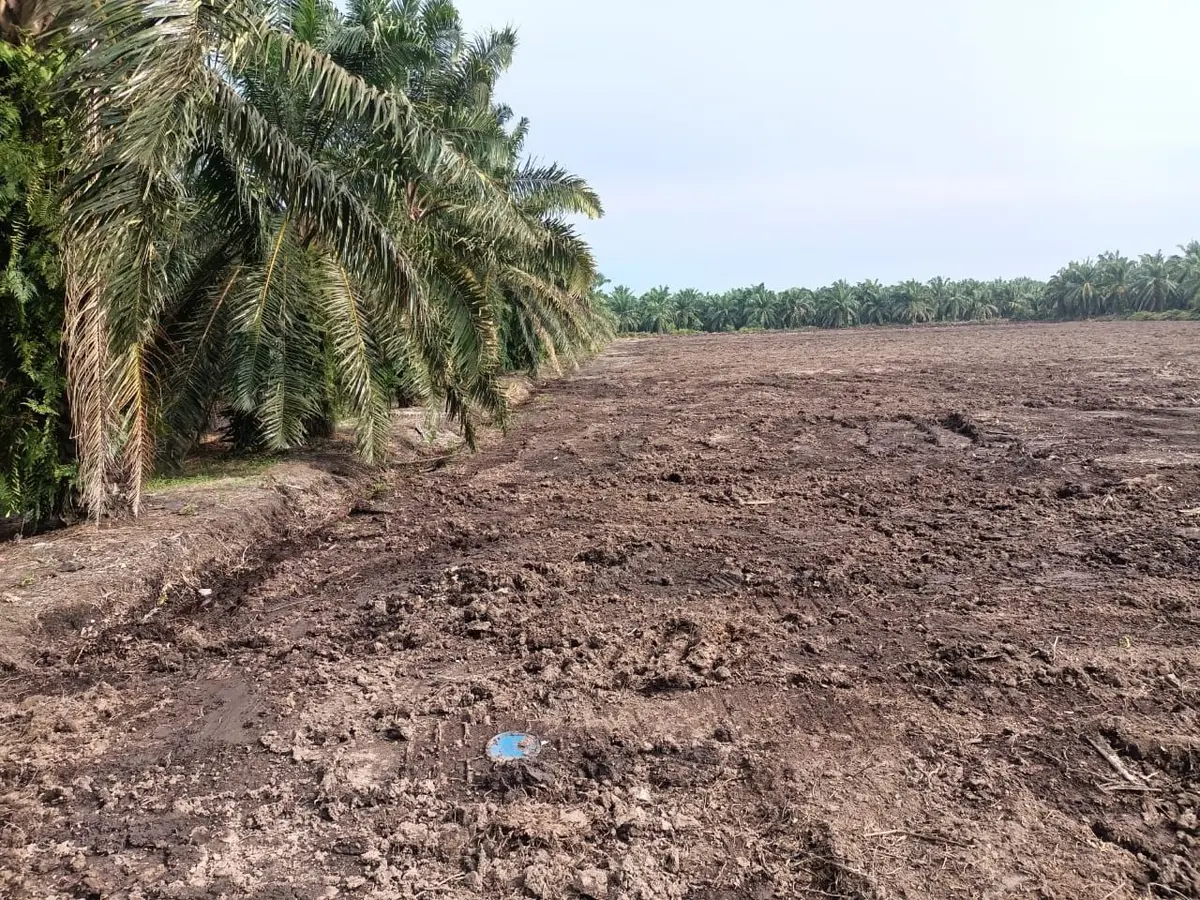 MEDIUM INDUSTRIAL LAND @ JENJAROM FOR SALE 